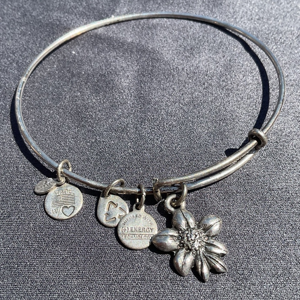 Alex and Ani Retired Apple Blossom Charm Silver Stackable Expandable Bangle